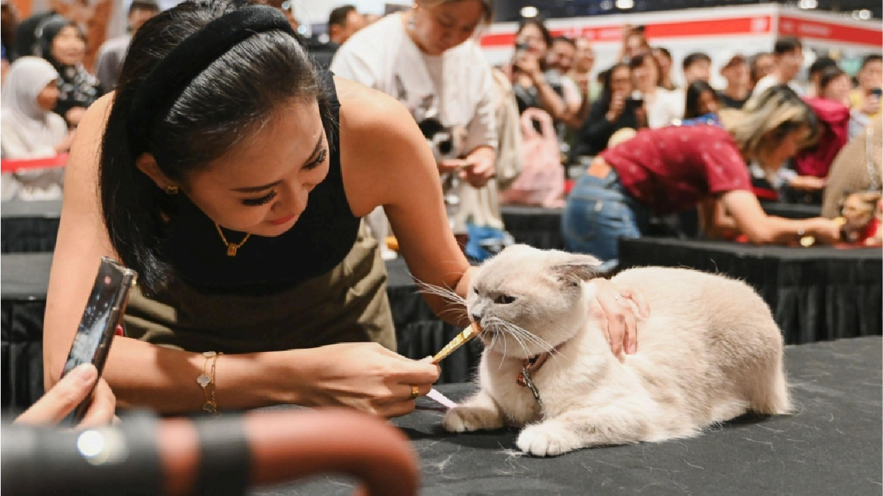 Asia Cat Expo